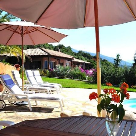 Villa Vetricella Corse Sud Olmeto  Exterior foto