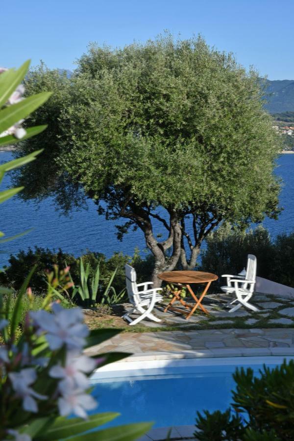 Villa Vetricella Corse Sud Olmeto  Exterior foto