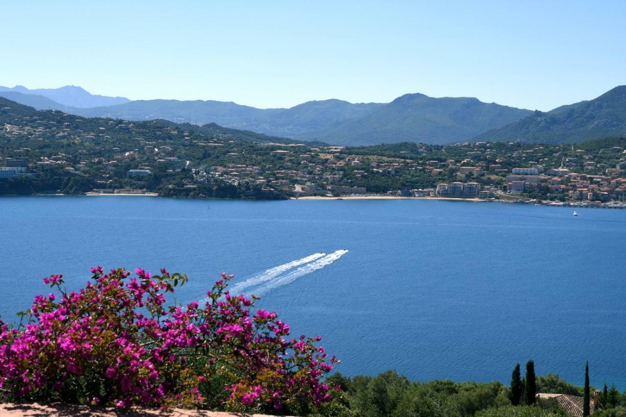 Villa Vetricella Corse Sud Olmeto  Exterior foto